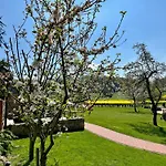 Landgut & Residenz Driehof 4*