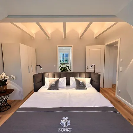 Apartmanhotel Landgut & Residenz Driehof 4*