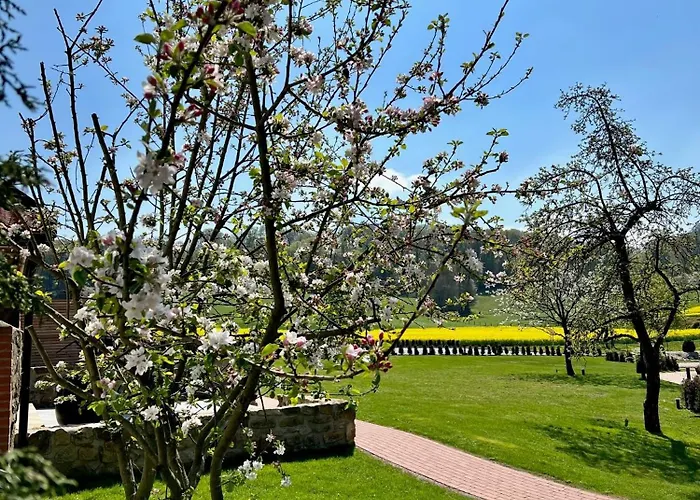 Landgut & Residenz Driehof 4*